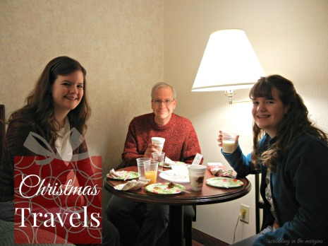 Christmas Travels | Scribbling in the Margins blog